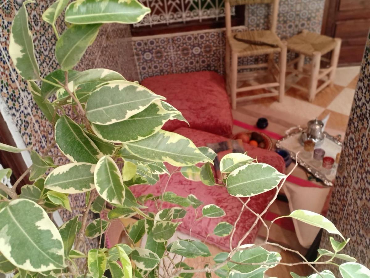 Riad White House Marrakesz Zewnętrze zdjęcie